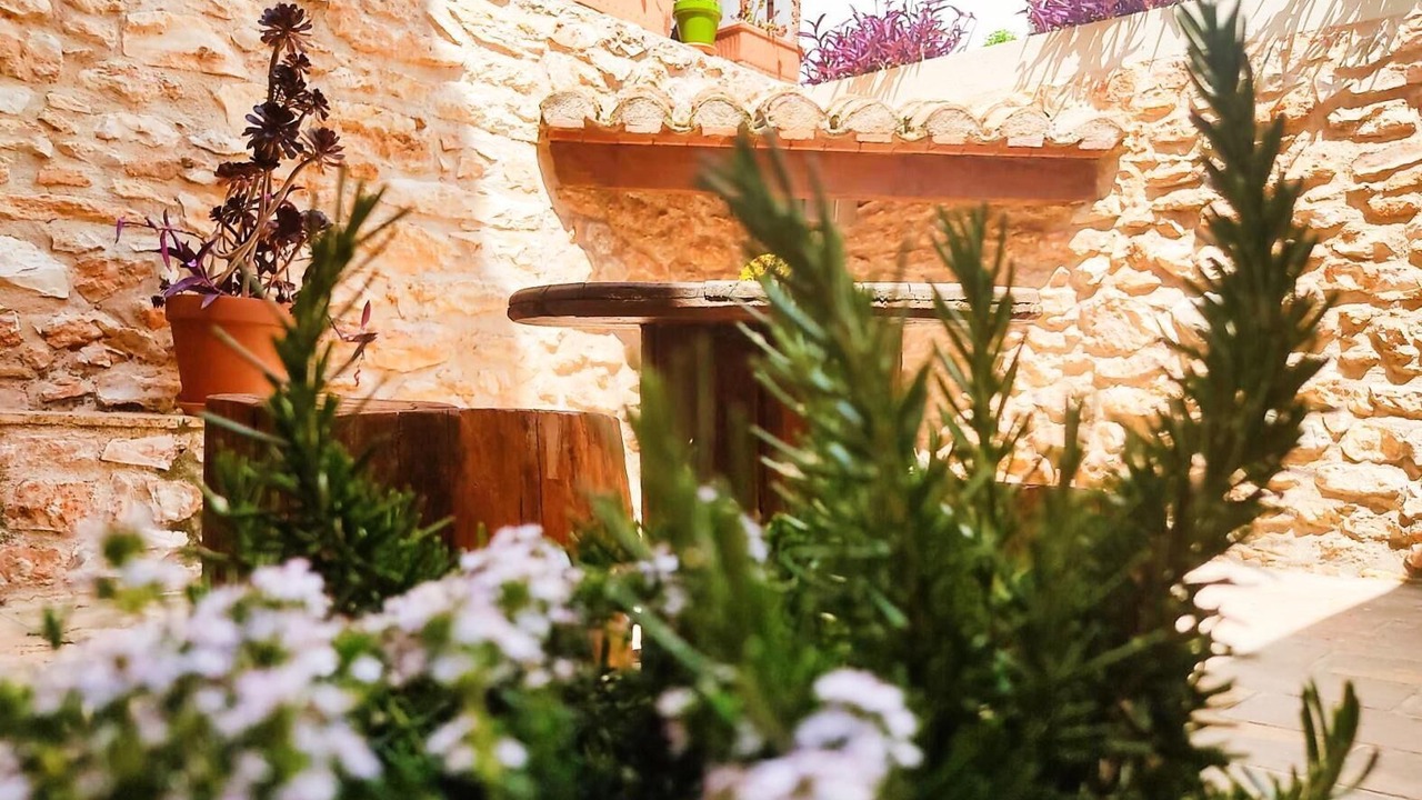 Photo of Outdoor in Els Ibarsos