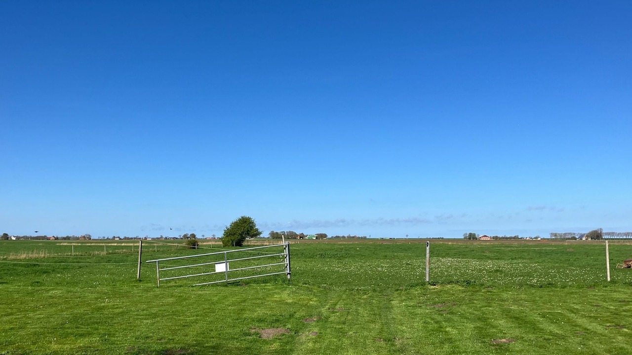 Photo of Outdoor in Friedrichskoog
