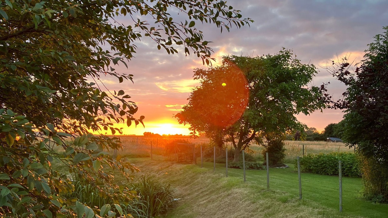 Photo of Outdoor in Friedrichskoog