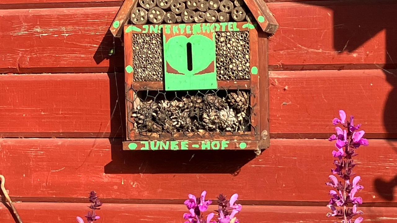 Photo of Outdoor in Friedrichskoog