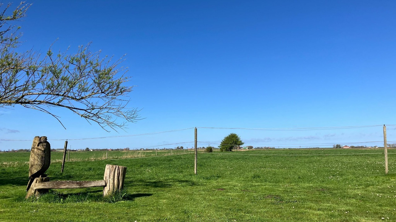 Photo of Outdoor in Friedrichskoog