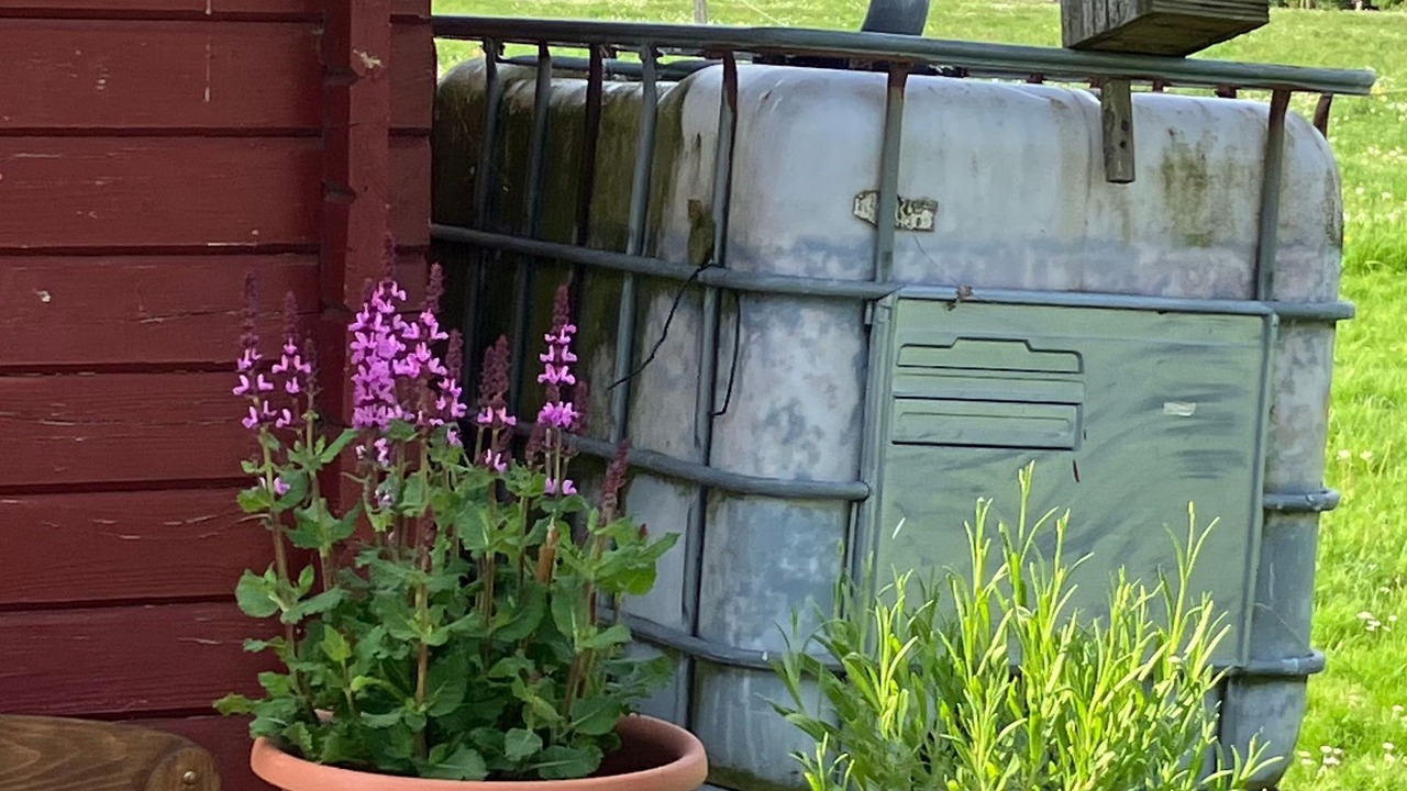 Photo of Outdoor in Friedrichskoog