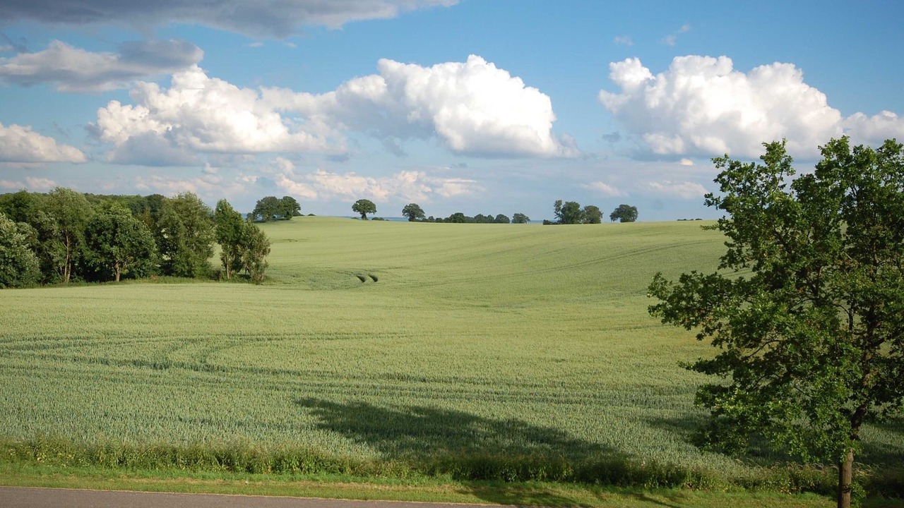 Photo of Others in Sierksdorf