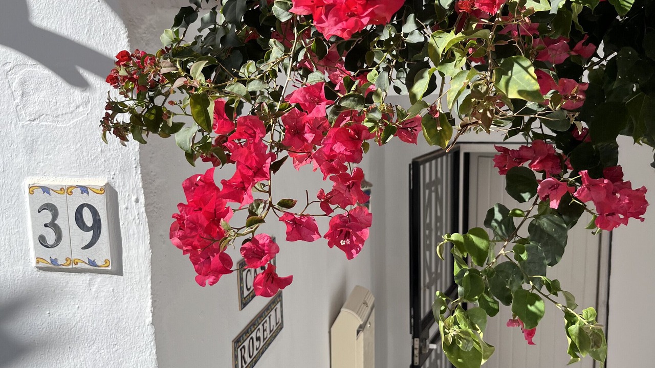 Photo of Outdoor in Urbanizacion Ladera del Mar