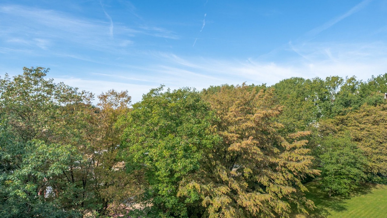 Photo of Outdoor in Herrenhausen