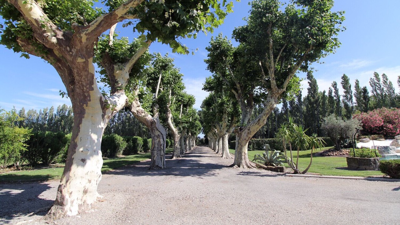 Photo of Outdoor in Entressen