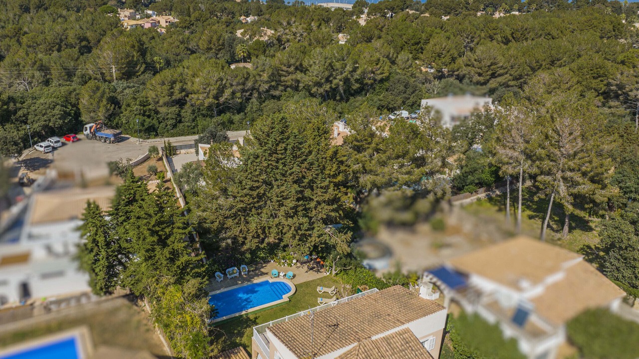 Photo of Outdoor in Cielo de Bonaire