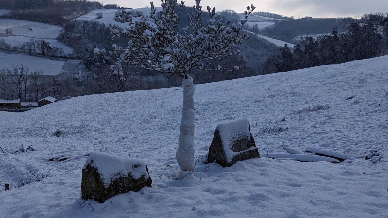 Photo of Others in Saint-Cyr-les-Vignes