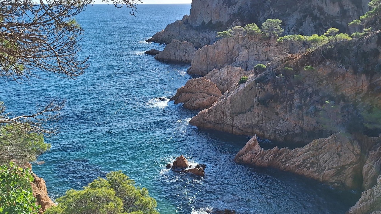 Photo of Others in Sant Feliu de Guixols