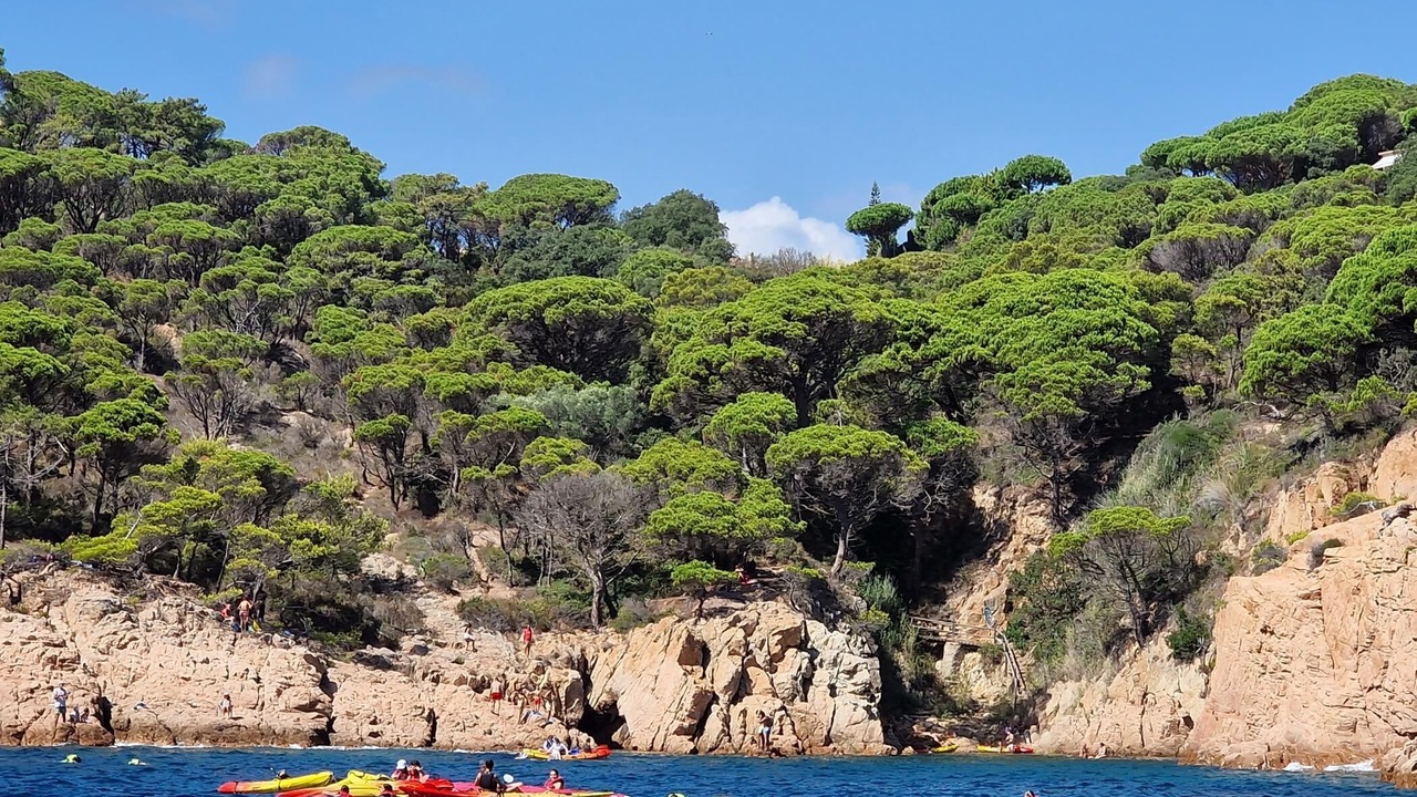 Photo of Others in Sant Feliu de Guixols
