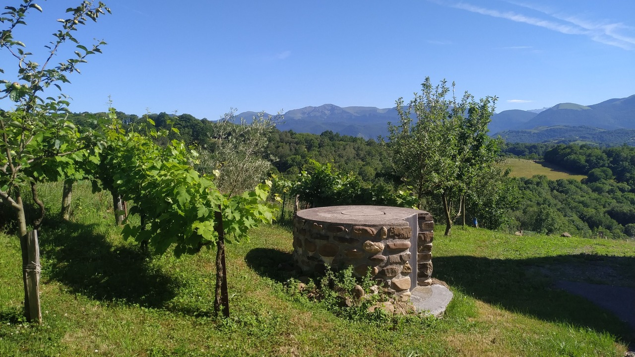 Photo of Outdoor in Molere