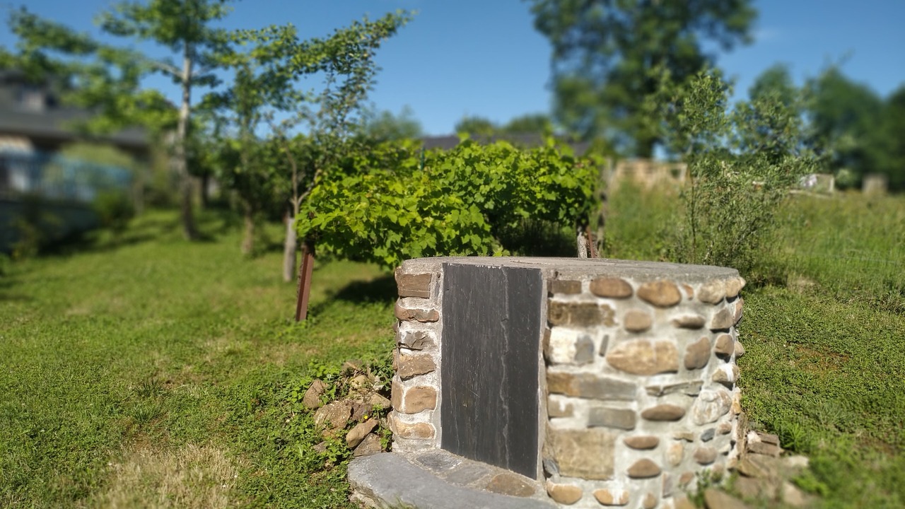 Photo of Outdoor in Molere