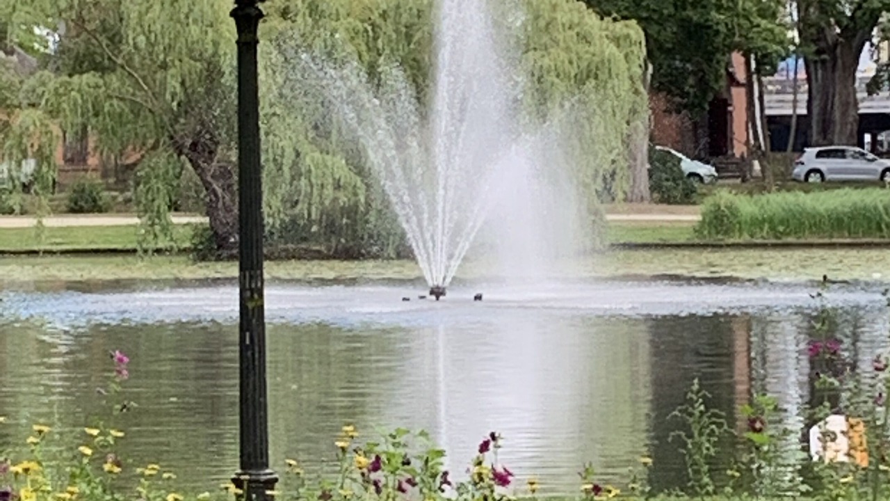 Photo of Others in Celle