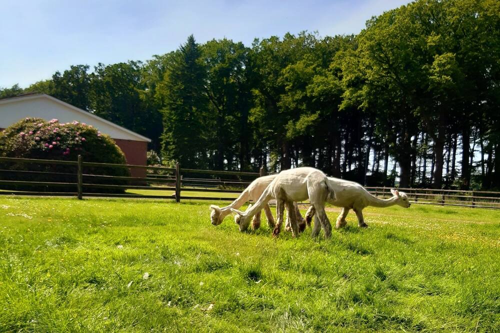 Photo of Others in Affinghausen