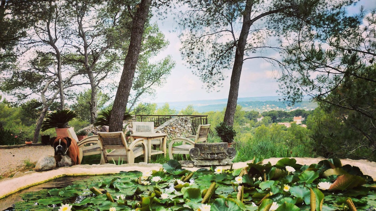 Photo of Outdoor in Bouc-Bel-Air