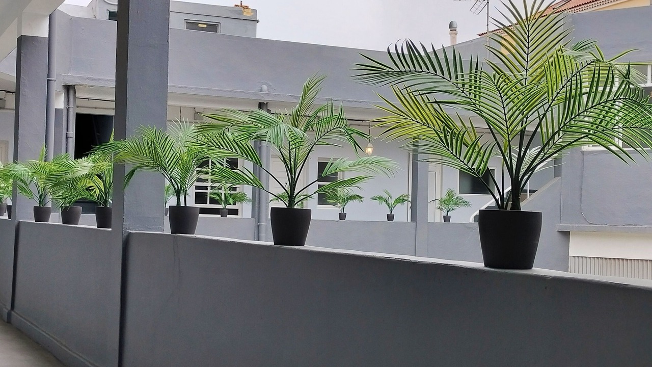 Photo of Outdoor in Historical Center