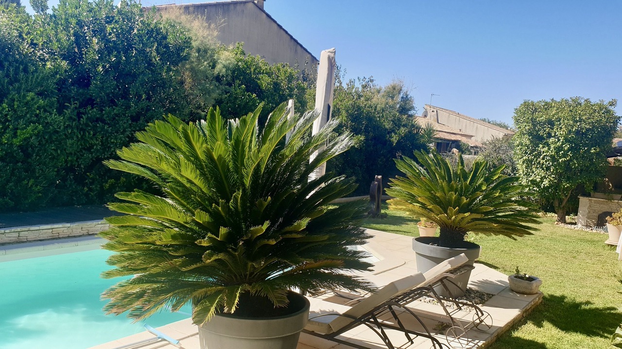 Photo of Outdoor in Bouillargues