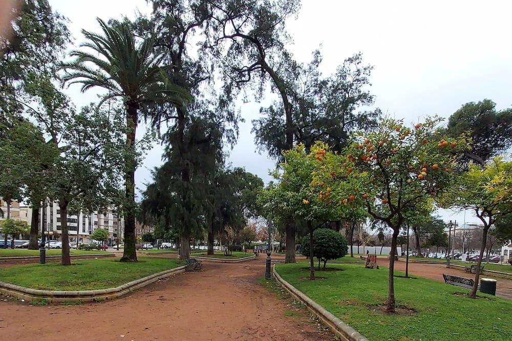 Photo of Others in Ciudad Jardin