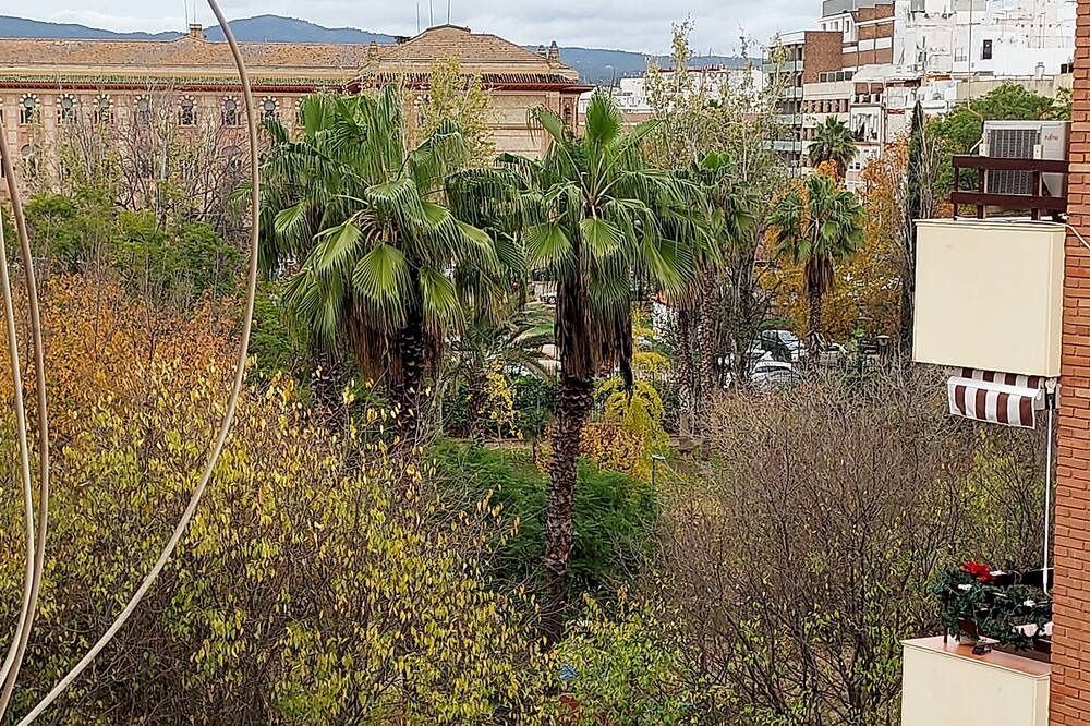 Photo of Others in Ciudad Jardin