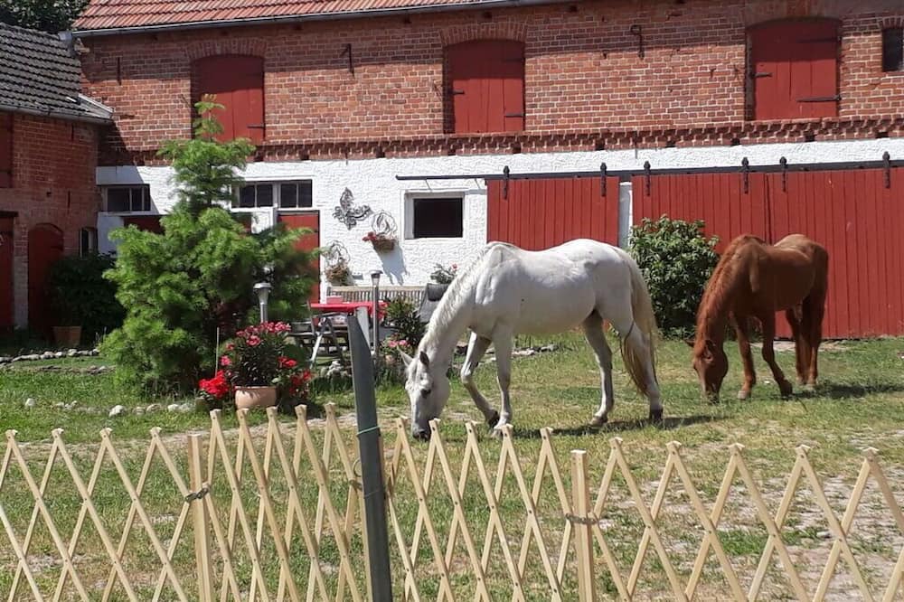 Photo of Others in Osterburg