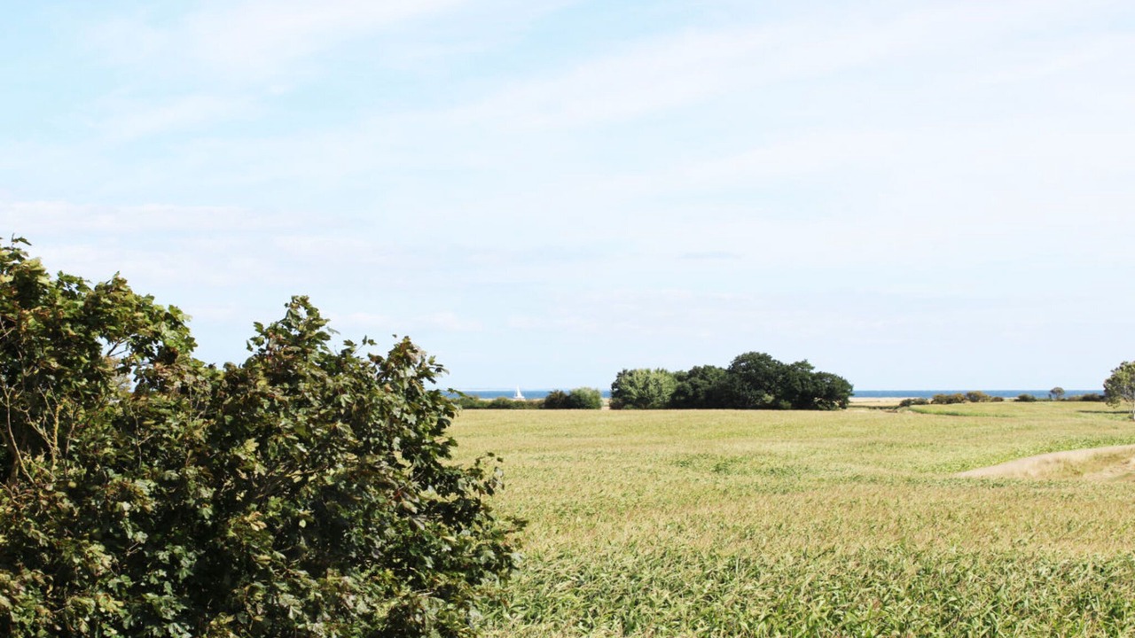 Photo of Others in Pommerby