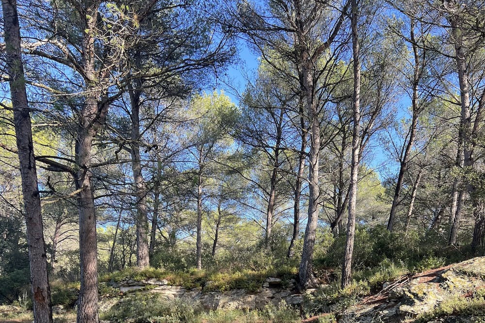 Photo of Outdoor in Saint-Chamas
