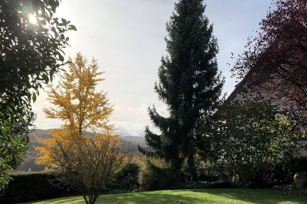 Photo of Outdoor in Ober-Morlen