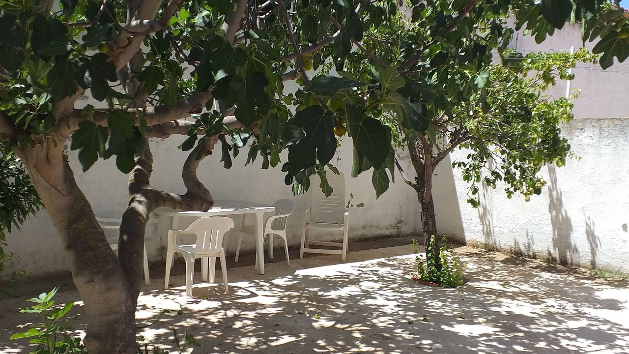 Photo of Outdoor in Toledo