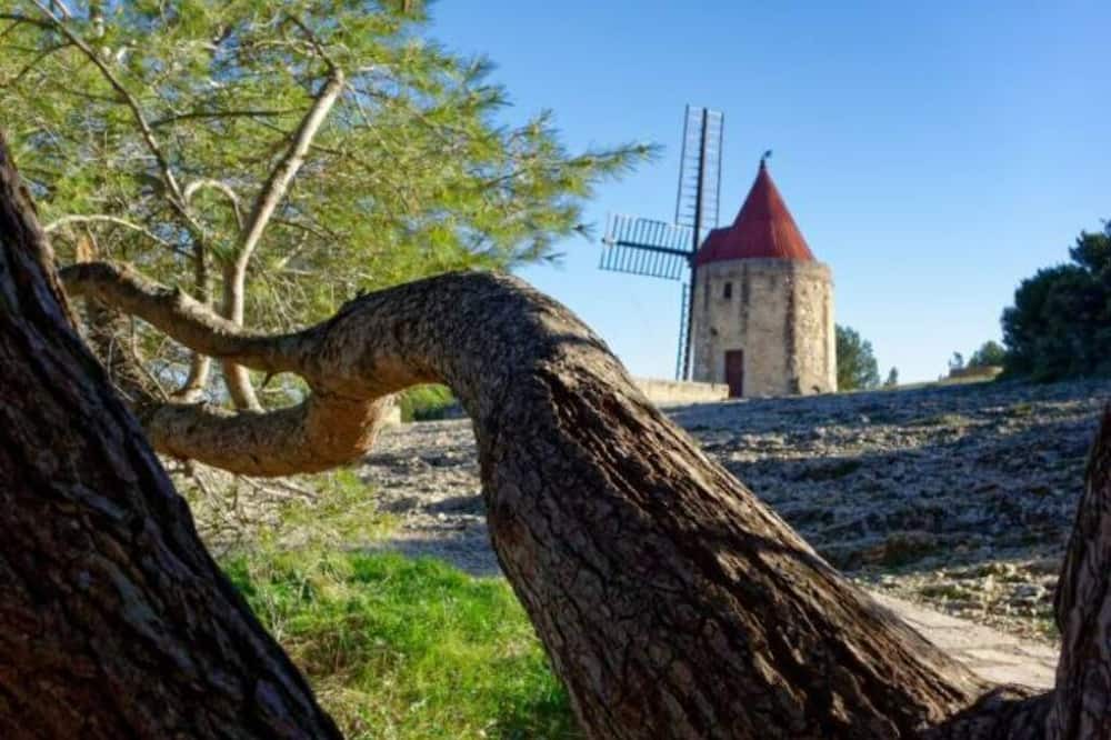 Photo of Outdoor in Saint-Martin-de-Crau