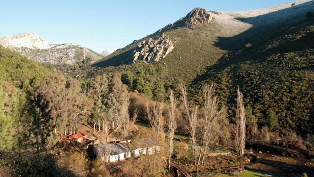 Photo of Others in Canamero