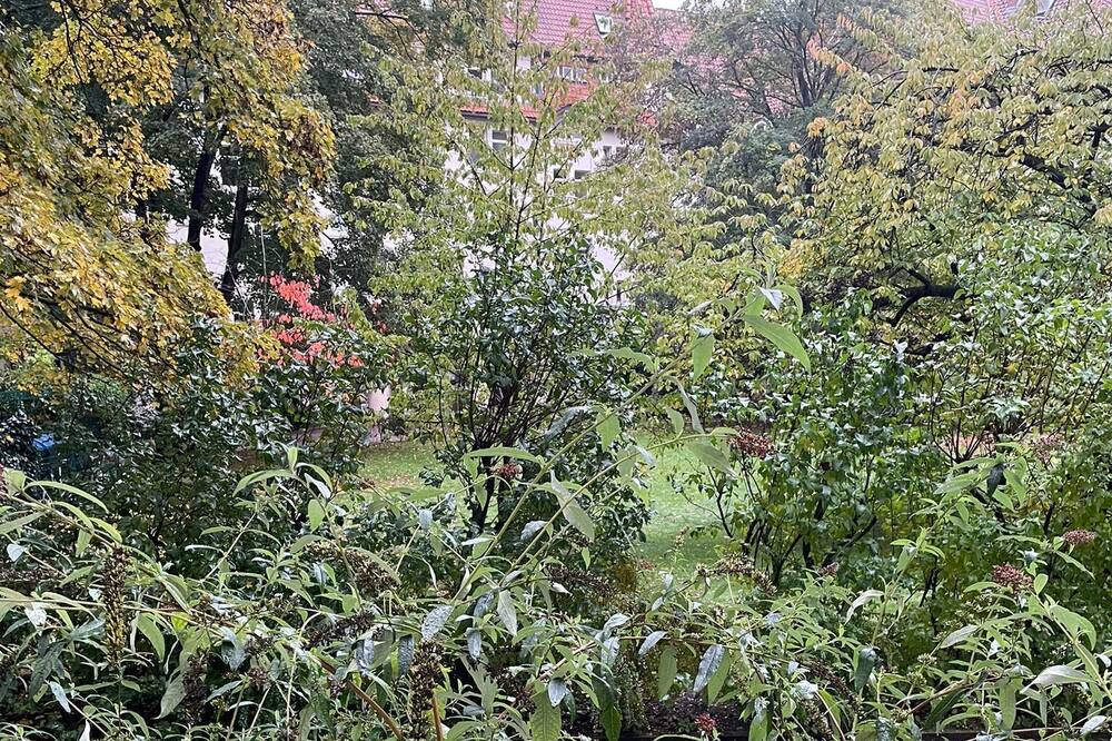 Photo of Outdoor in Gross Buchholz