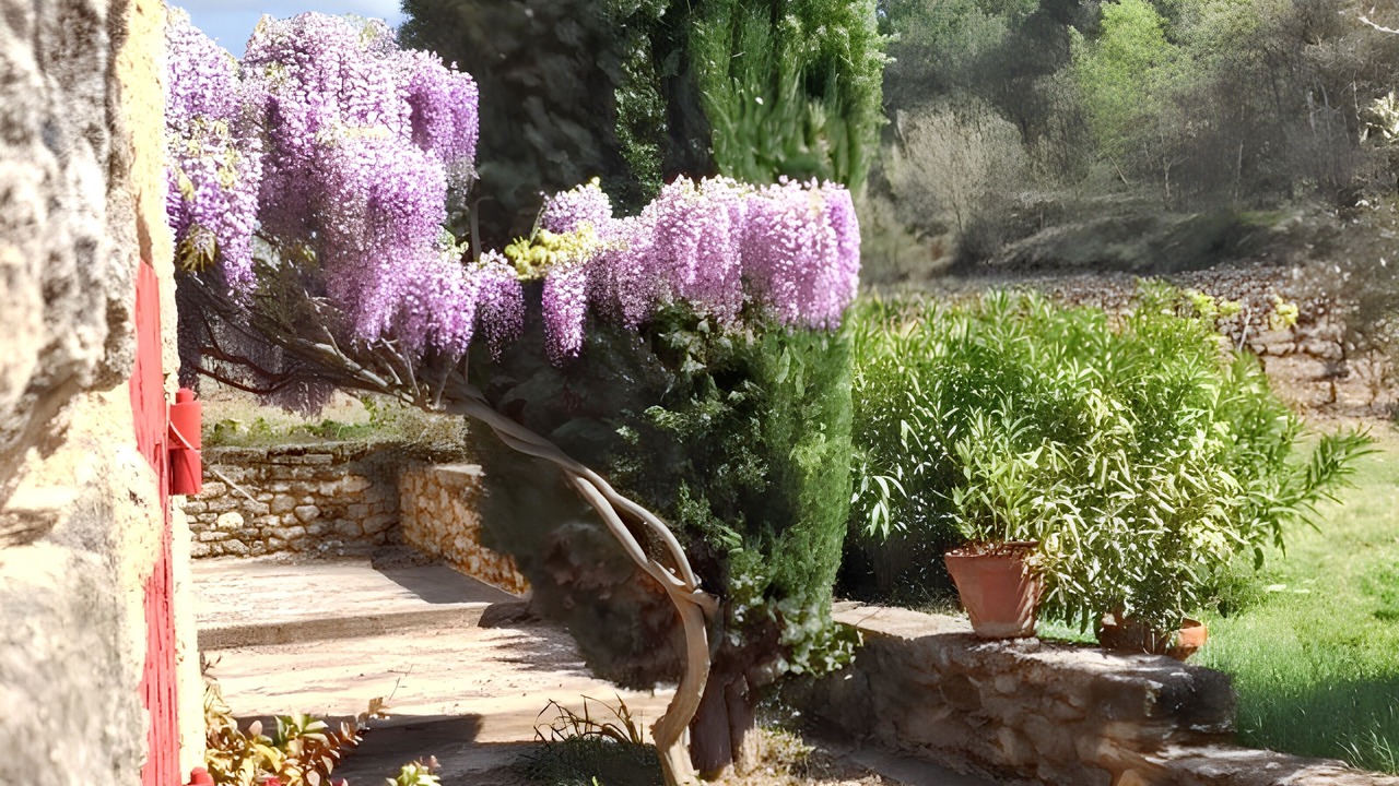 Photo of Outdoor in Ansouis