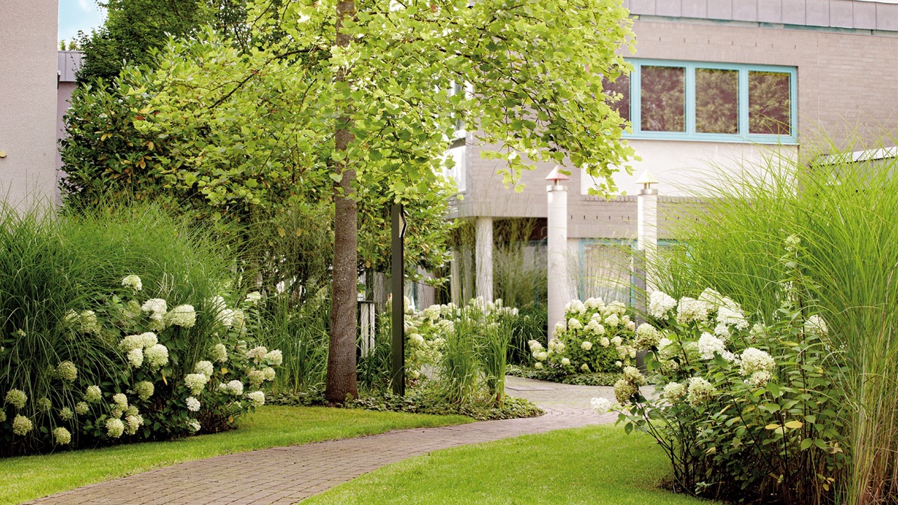 Photo of Outdoor in Aligse