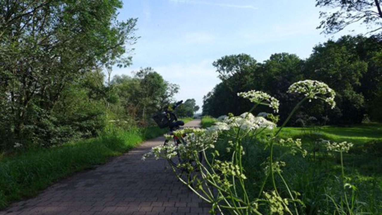 Photo of Outdoor in Herrenkrug