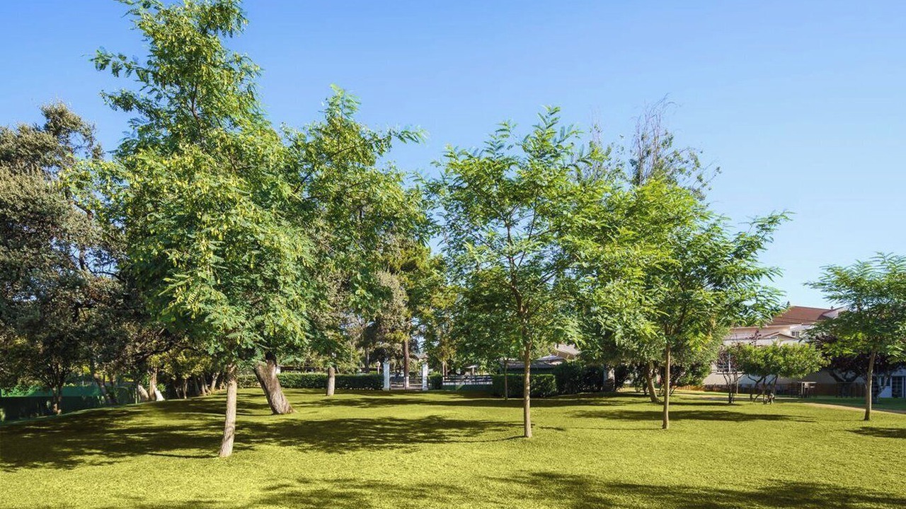 Photo of Outdoor in El Brillante