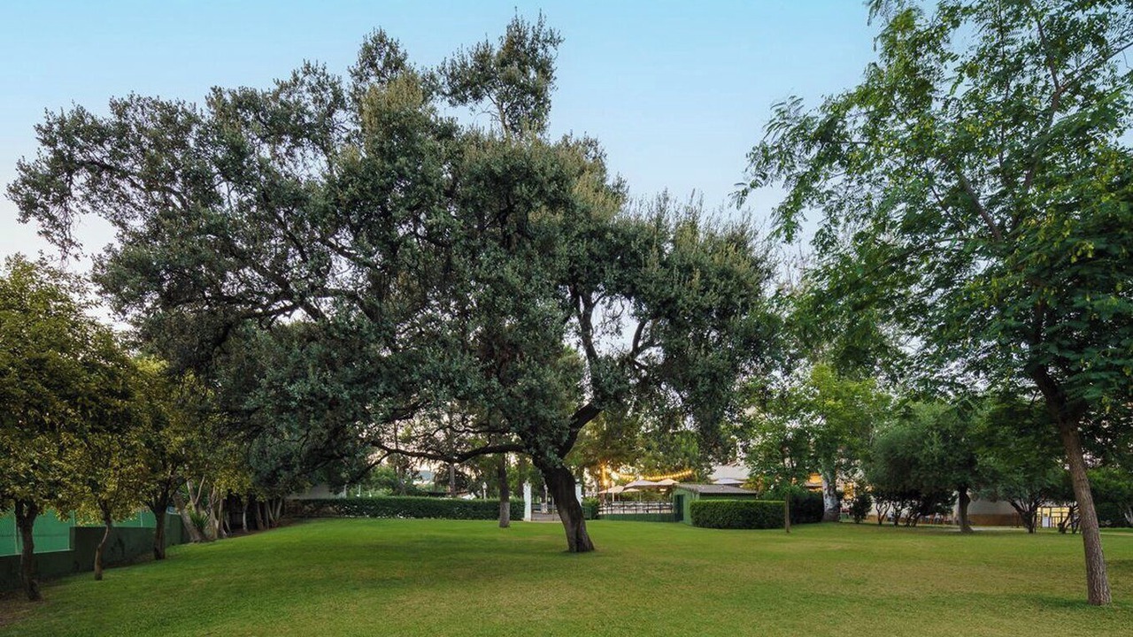 Photo of Outdoor in El Brillante