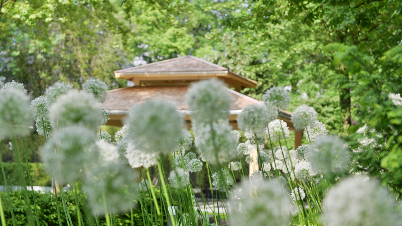 Photo of Outdoor in Mittelfeld