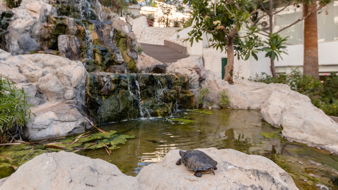 Photo of Outdoor in Las Caletillas