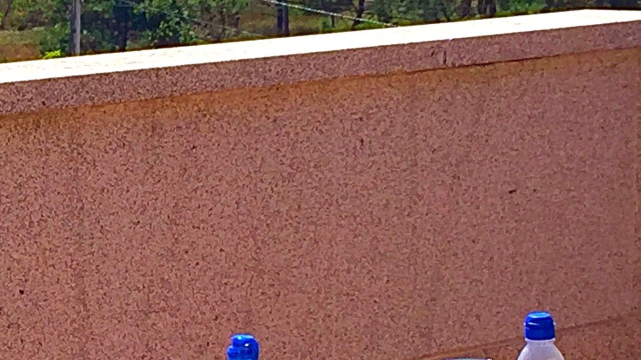 Photo of Others in Balea