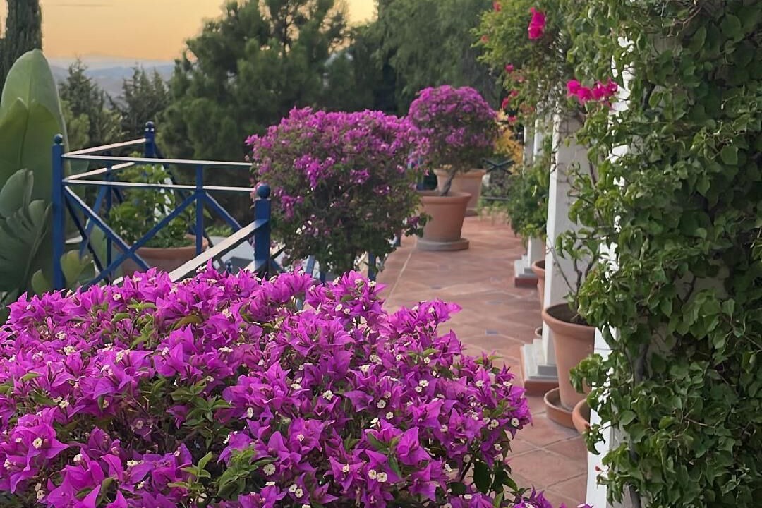 Photo of Patio Balcony in Benahavis
