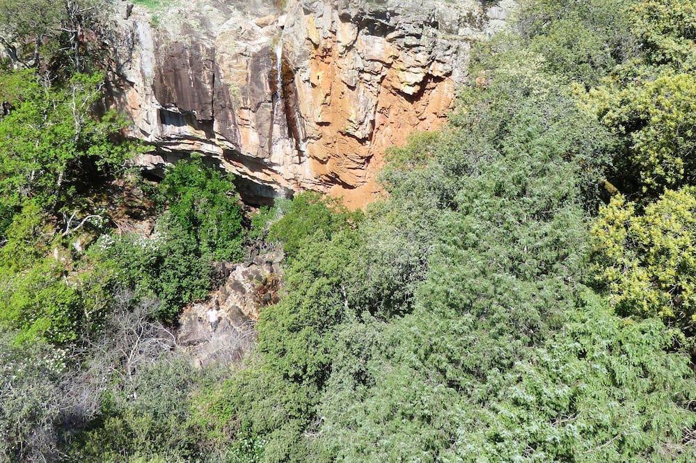 Photo of Others in Sotoserrano