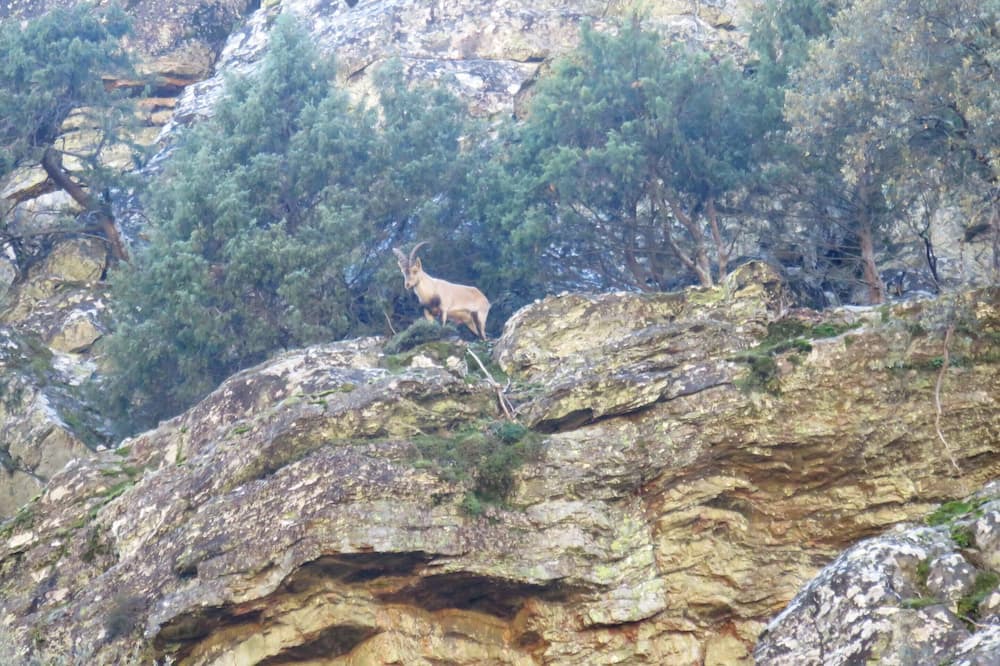 Photo of Others in Sotoserrano