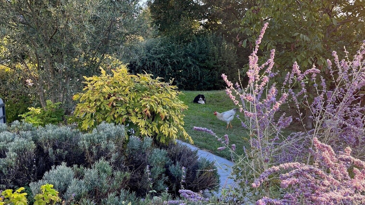 Photo of Outdoor in Sauverny