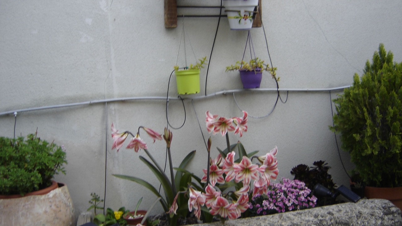Photo of Outdoor in Arguedas