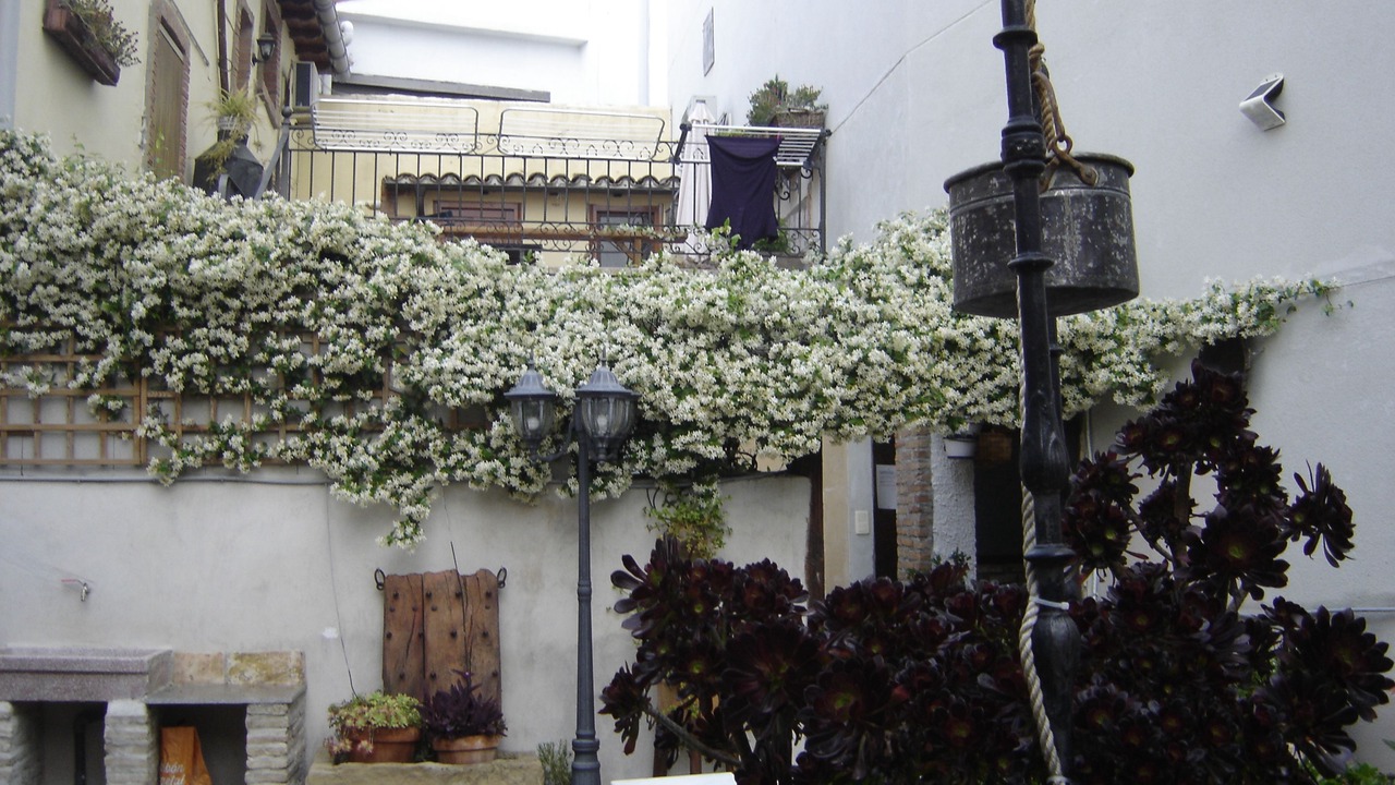 Photo of Outdoor in Arguedas