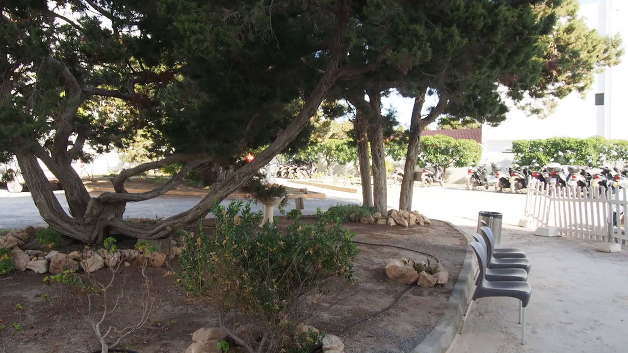 Photo of Outdoor in Formentera