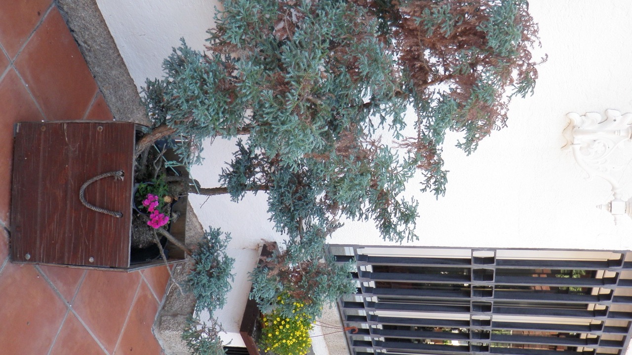 Photo of Outdoor in El Espinar