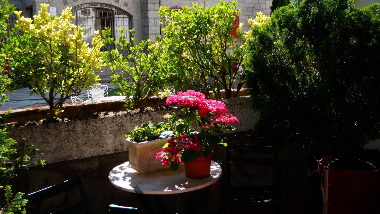 Photo of Others in El Espinar