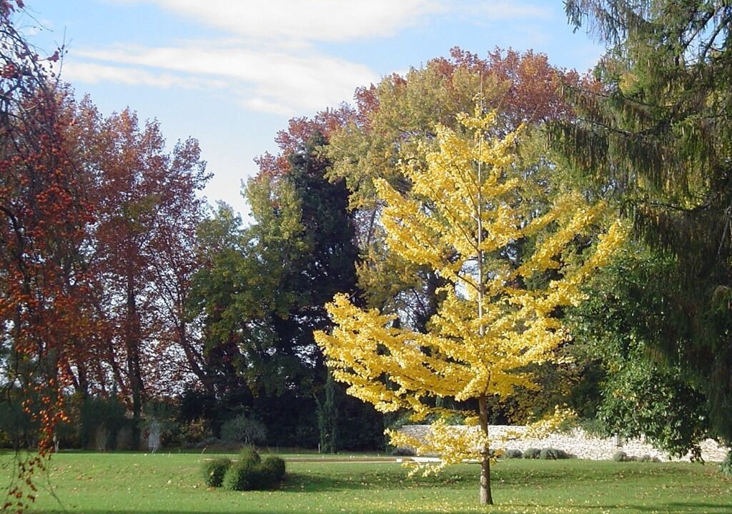 Photo of Outdoor in Saint-Laurent-des-Arbres