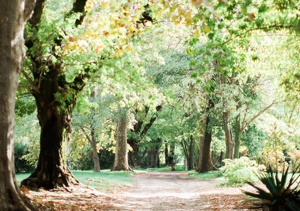 Photo of Outdoor in Saint-Laurent-des-Arbres